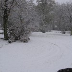 Picture of snow