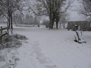 Picture of Snow