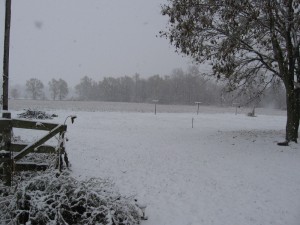 Picture of Snow