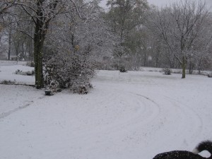 Picture of snow